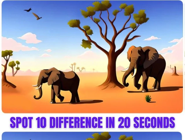 Best Quiz, Best Quiz Game, Find Differences, Spot Differences,