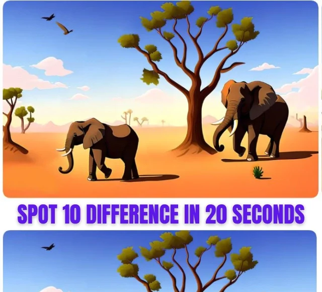 Best Quiz, Best Quiz Game, Find Differences, Spot Differences,